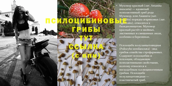 мет Богданович