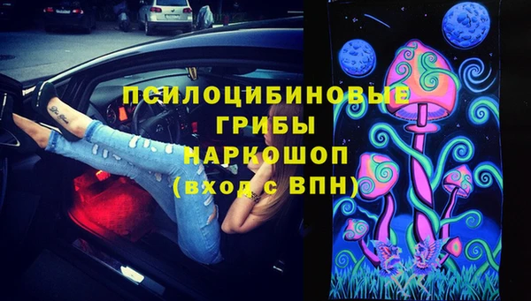 дживик Богородицк
