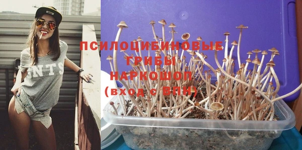 дживик Богородицк